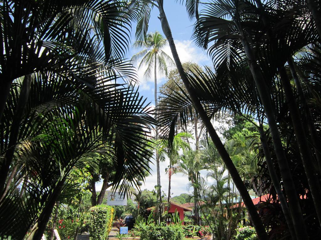 Hotel El Paraiso Escondido - Costa Rica Jaco Exterior photo