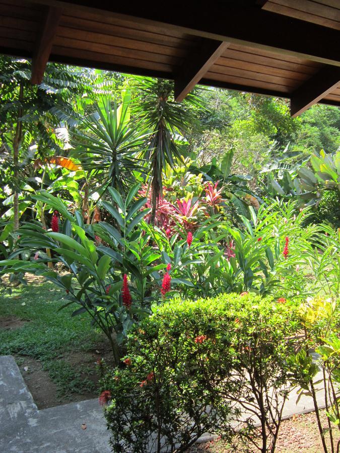 Hotel El Paraiso Escondido - Costa Rica Jaco Exterior photo